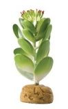 Кактус - негодница Exo Terra Jade Cactus  